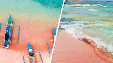 10 Of The Most Beautiful Pink Sand Beaches